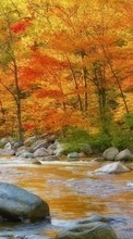 Scaricare immagine 540x960 Landscape, Water, Rivers, Trees, Stones, Autumn sul telefono gratis.
