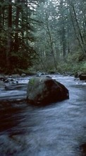 Scaricare immagine Landscape, Rivers, Trees, Stones sul telefono gratis.