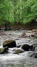 Scaricare immagine Landscape, Water, Rivers, Trees, Stones sul telefono gratis.