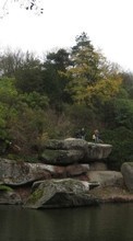 Scaricare immagine 480x800 Landscape, Water, Trees, Stones sul telefono gratis.