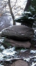 Scaricare immagine 800x480 Landscape, Winter, Trees, Stones sul telefono gratis.