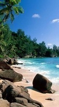 Scaricare immagine Landscape, Trees, Sea, Beach, Palms, Summer sul telefono gratis.