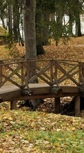 Scaricare immagine Trees, Leaves, Bridges, Autumn, Landscape sul telefono gratis.