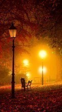 Scaricare immagine Trees, Leaves, Night, Landscape, Streets sul telefono gratis.