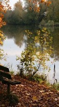 Scaricare immagine Trees, Leaves, Autumn, Landscape, Rivers sul telefono gratis.
