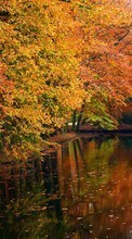 Scaricare immagine Trees, Boats, Autumn, Landscape, Rivers sul telefono gratis.