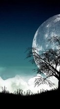 Trees, Moon, Nature per LG Optimus G E973