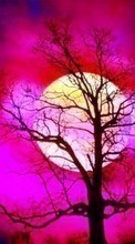 Scaricare immagine Trees,Moon,Landscape sul telefono gratis.