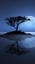Trees,Moon,Landscape per HTC Desire X