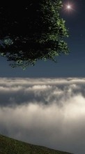 Scaricare immagine Trees, People, Night, Clouds, Landscape sul telefono gratis.