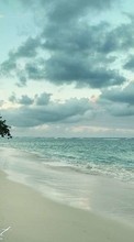 Scaricare immagine Trees, Sea, Sky, Clouds, Landscape, Beach sul telefono gratis.