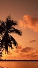 Scaricare immagine 540x960 Landscape, Trees, Sunset, Sky, Sea, Palms sul telefono gratis.