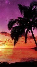 Scaricare immagine 128x160 Landscape, Trees, Sunset, Sky, Sea, Palms sul telefono gratis.