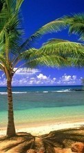 Scaricare immagine Landscape, Trees, Sea, Beach, Palms sul telefono gratis.