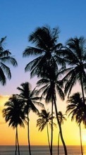 Scaricare immagine Trees, Sea, Palms, Landscape, Sunset sul telefono gratis.
