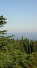 Scaricare immagine 1280x800 Landscape, Trees, Sea sul telefono gratis.
