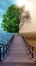 Scaricare immagine Trees, Sea, Landscape, Desert sul telefono gratis.