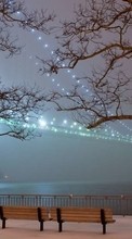 Scaricare immagine Trees, Bridges, Night, Landscape, Winter sul telefono gratis.