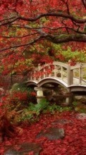 Scaricare immagine 128x160 Landscape, Bridges, Trees, Autumn sul telefono gratis.