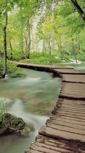 Scaricare immagine 240x400 Landscape, Nature, Rivers, Bridges, Trees sul telefono gratis.