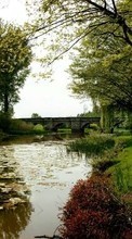 Scaricare immagine Trees, Bridges, Landscape, Rivers, Grass sul telefono gratis.