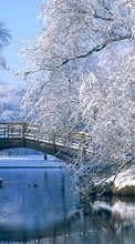 Scaricare immagine Trees, Bridges, Landscape, Rivers, Winter sul telefono gratis.