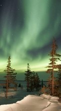 Scaricare immagine Trees, Sky, Night, Landscape, Shining, Snow, Stars sul telefono gratis.
