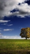 Scaricare immagine Landscape, Trees, Sky, Clouds sul telefono gratis.