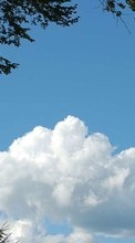 Trees, Sky, Clouds, Landscape per Huawei Ascend Y210