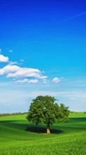 Scaricare immagine Trees, Sky, Clouds, Landscape, Fields sul telefono gratis.
