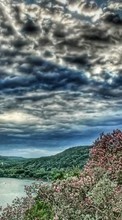 Scaricare immagine Trees, Sky, Clouds, Landscape, Rivers sul telefono gratis.