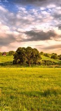 Scaricare immagine 540x960 Landscape, Trees, Sky sul telefono gratis.