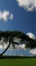Landscape, Trees, Sky per Samsung Galaxy Tab S 10.5