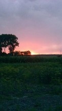 Scaricare immagine Trees, Sky, Landscape, Fields, Sunset sul telefono gratis.