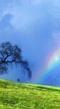 Scaricare immagine 540x960 Landscape, Trees, Grass, Sky, Rainbow sul telefono gratis.