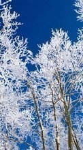 Scaricare immagine Trees, Sky, Landscape, Snow, Winter sul telefono gratis.
