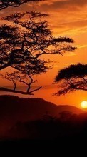 Scaricare immagine 320x240 Landscape, Trees, Sunset, Sky, Sun sul telefono gratis.