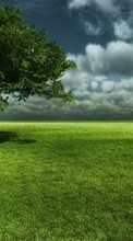 Scaricare immagine 1024x768 Landscape, Trees, Grass, Sky sul telefono gratis.