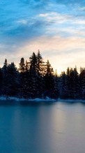 Scaricare immagine 240x320 Landscape, Winter, Water, Trees, Sky sul telefono gratis.