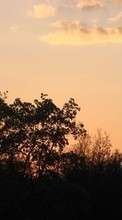 Scaricare immagine Landscape, Trees, Sunset, Sky sul telefono gratis.