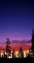 Scaricare immagine 128x160 Landscape, Trees, Sunset, Sky sul telefono gratis.