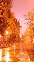 Scaricare immagine Trees, Night, Autumn, Landscape, Streets sul telefono gratis.