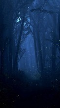 Scaricare immagine Trees, Night, Landscape sul telefono gratis.