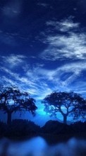 Landscape, Trees, Night per LG G4c H525N