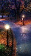 Scaricare immagine Trees,Night,Landscape sul telefono gratis.