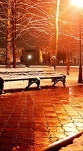 Scaricare immagine Trees, Night, Landscape, Snow, Streets, Winter sul telefono gratis.