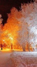 Scaricare immagine Trees, Night, Landscape, Snow, Winter sul telefono gratis.
