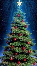 Scaricare immagine Trees,Objects,Holidays,Plants sul telefono gratis.