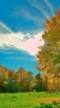 Scaricare immagine Trees, Clouds, Autumn, Landscape, Sun sul telefono gratis.
