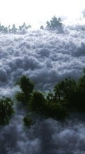 Scaricare immagine Trees,Clouds,Landscape sul telefono gratis.